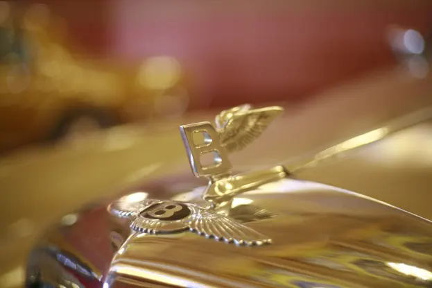 카지노 빅윈 베가스 안드로이드/iOS 앱